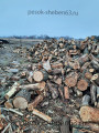 Купить дубовые не колотые дрова в Самаре